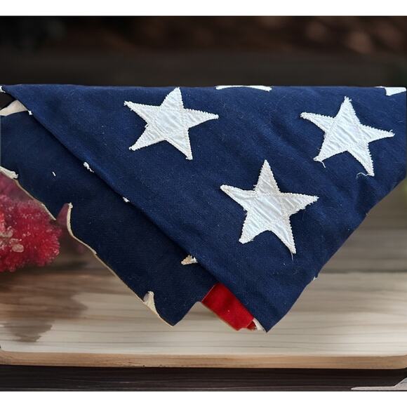 VTG RARE American Flag Bulldog Bunting 48 Stars WW2/Korean 40s US Treasury Dept - Picture 2 of 16